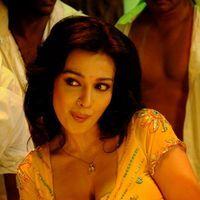 Asha Saini Hot Stills from Song | Picture 275440