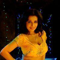 Asha Saini Hot Stills from Song | Picture 275450