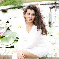 Archana Hot Photoshoot Gallery | Picture 277693