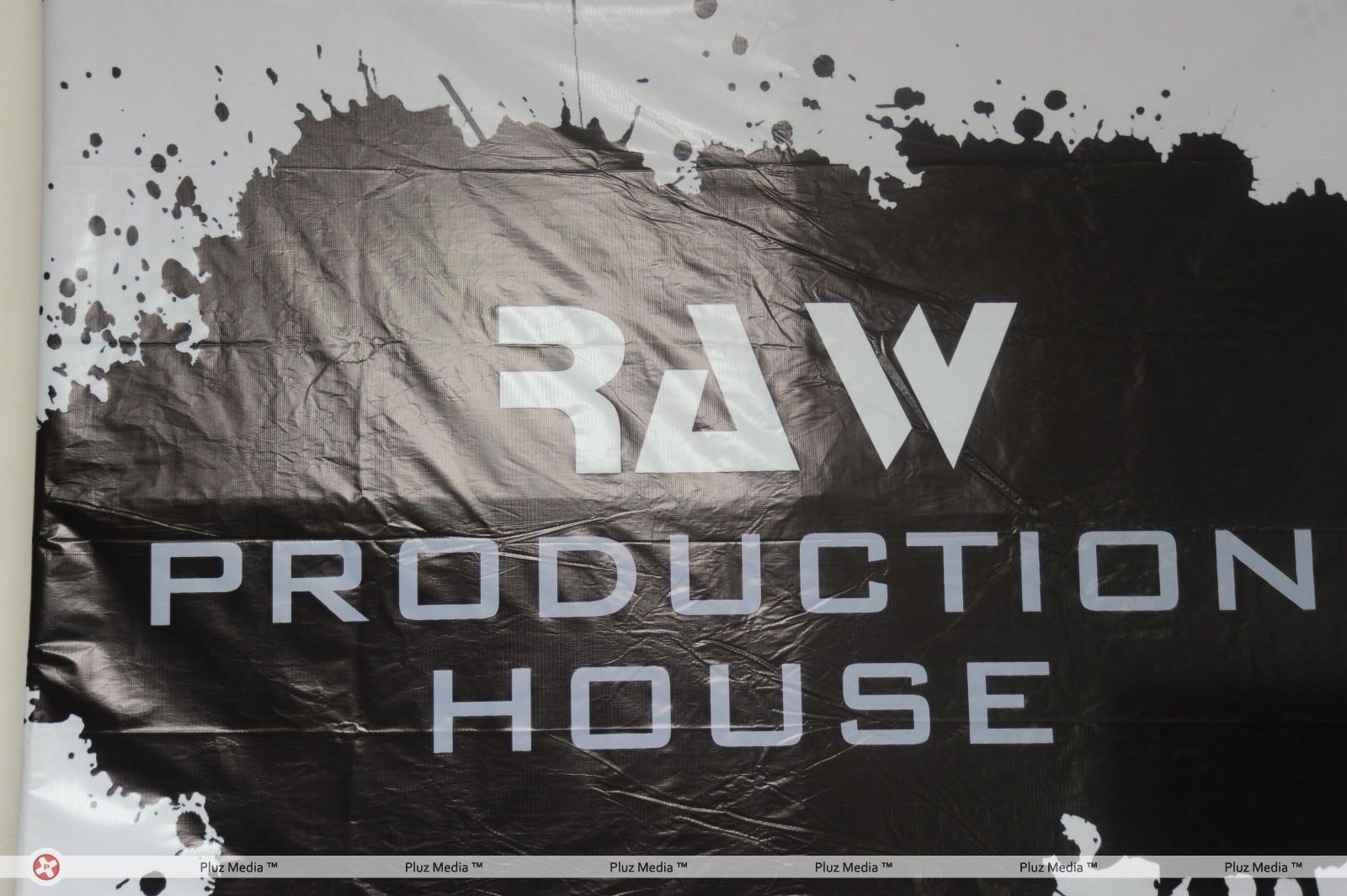 Models At Raw Production House Logo Launch Gallery | Picture 278450