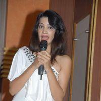Diksha Panth - Mr Rajesh Audio Release Pictures | Picture 278931