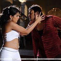 Telugu Abbai Movie Hot Stills | Picture 279645