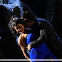 Telugu Abbai Movie Hot Stills | Picture 279664