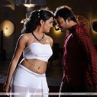 Telugu Abbai Movie Hot Stills | Picture 279691