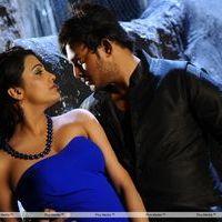 Telugu Abbai Movie Hot Stills | Picture 279692