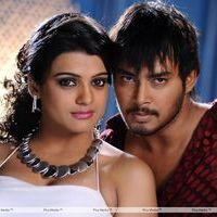 Telugu Abbai Movie Hot Stills | Picture 279713