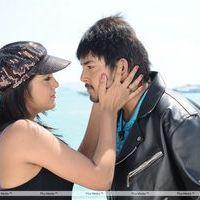 Telugu Abbai Movie Hot Stills | Picture 279741