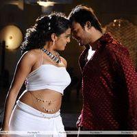 Telugu Abbai Movie Hot Stills | Picture 279756