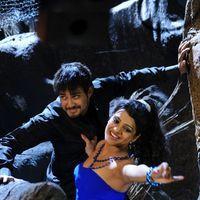 Telugu Abbai Movie Hot Stills | Picture 279759