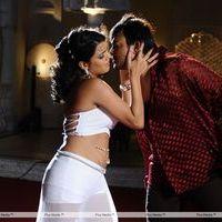 Telugu Abbai Movie Hot Stills | Picture 279768