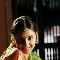 Bhanu Sri Mehra - Chilkur Balaji Movie New Stills  | Picture 283932