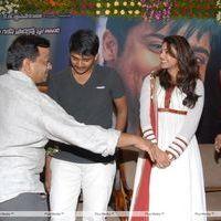 Brothers Movie Audio Launch Pictures | Picture 285896