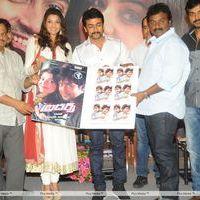 Brothers Movie Audio Launch Pictures | Picture 285907