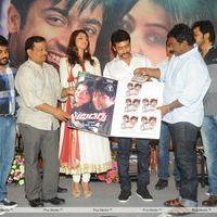 Brothers Movie Audio Launch Pictures | Picture 285951