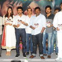 Brothers Movie Audio Launch Pictures | Picture 285953