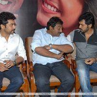 Brothers Movie Audio Launch Pictures | Picture 285967