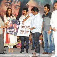 Brothers Movie Audio Launch Pictures | Picture 285970