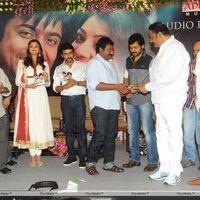 Brothers Movie Audio Launch Pictures | Picture 285983