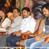 Brothers Movie Audio Launch Pictures | Picture 285984