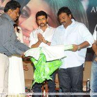 Brothers Movie Audio Launch Pictures | Picture 285989