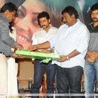 Brothers Movie Audio Launch Pictures | Picture 286012