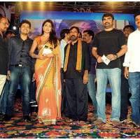 Pavithra Movie Audio Release Pictures | Picture 426952