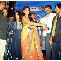 Pavithra Movie Audio Release Pictures | Picture 426957
