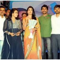 Pavithra Movie Audio Release Pictures | Picture 426964