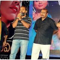 Pavithra Movie Audio Release Pictures | Picture 426966