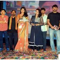 Pavithra Movie Audio Release Pictures | Picture 427017