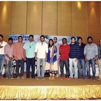 Gunde Jaari Gallanthayyinde Movie Success Meet Pictures | Picture 434011