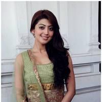 Pranitha at Mohan Babu Movie Opening Pictures | Picture 434564