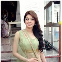 Pranitha at Mohan Babu Movie Opening Pictures | Picture 434567