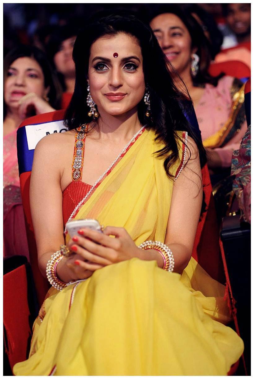Amisha Patel - TSR TV9 Awards Function 2012 - 2013 Photos | Picture 435089