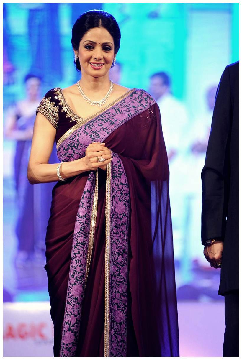 Sridevi Kapoor - TSR TV9 Awards Function 2012 - 2013 Photos | Picture 435581