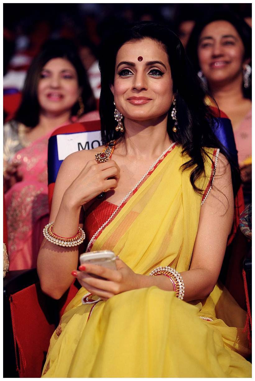 Amisha Patel - TSR TV9 Awards Function 2012 - 2013 Photos | Picture 435613