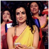 Amisha Patel - TSR TV9 Awards Function 2012 - 2013 Photos | Picture 435068