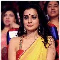 Amisha Patel - TSR TV9 Awards Function 2012 - 2013 Photos | Picture 435072