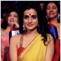 Amisha Patel - TSR TV9 Awards Function 2012 - 2013 Photos | Picture 435122