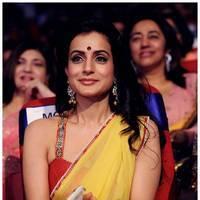 Amisha Patel - TSR TV9 Awards Function 2012 - 2013 Photos | Picture 435142
