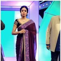 Sridevi Kapoor - TSR TV9 Awards Function 2012 - 2013 Photos | Picture 435175