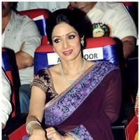 Sridevi Kapoor - TSR TV9 Awards Function 2012 - 2013 Photos | Picture 435198