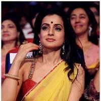 Amisha Patel - TSR TV9 Awards Function 2012 - 2013 Photos | Picture 435377