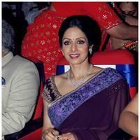 Sridevi Kapoor - TSR TV9 Awards Function 2012 - 2013 Photos | Picture 434841
