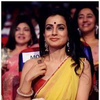 Amisha Patel - TSR TV9 Awards Function 2012 - 2013 Photos | Picture 435613
