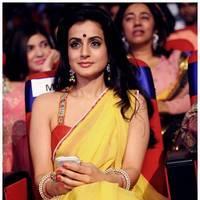 Amisha Patel - TSR TV9 Awards Function 2012 - 2013 Photos | Picture 435639