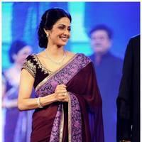 Sridevi Kapoor - TSR TV9 Awards Function 2012 - 2013 Photos