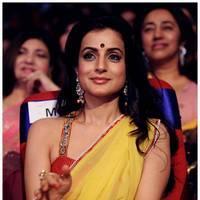 Amisha Patel - TSR TV9 Awards Function 2012 - 2013 Photos