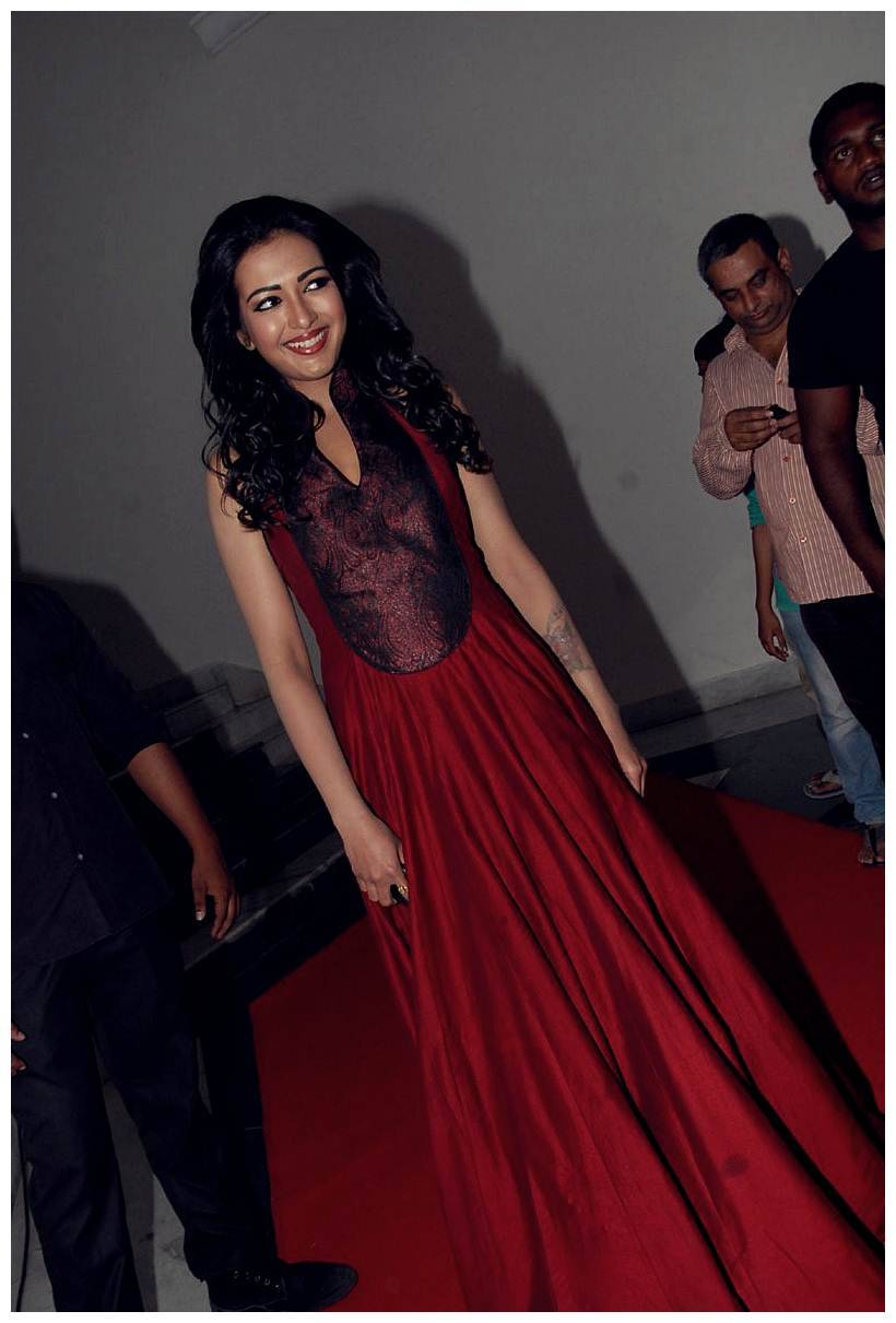 Catherine Tresa at Iddarammayilatho Audio Release Function | Picture 442689