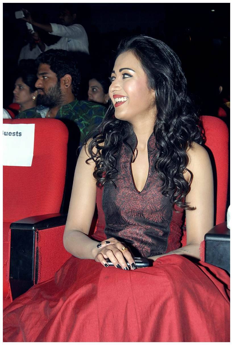 Catherine Tresa at Iddarammayilatho Audio Release Function | Picture 442696